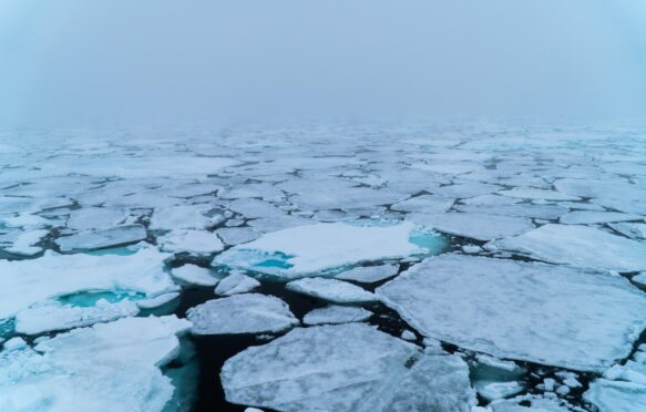 Arctic sea ice in Svalbard, Norway in June.